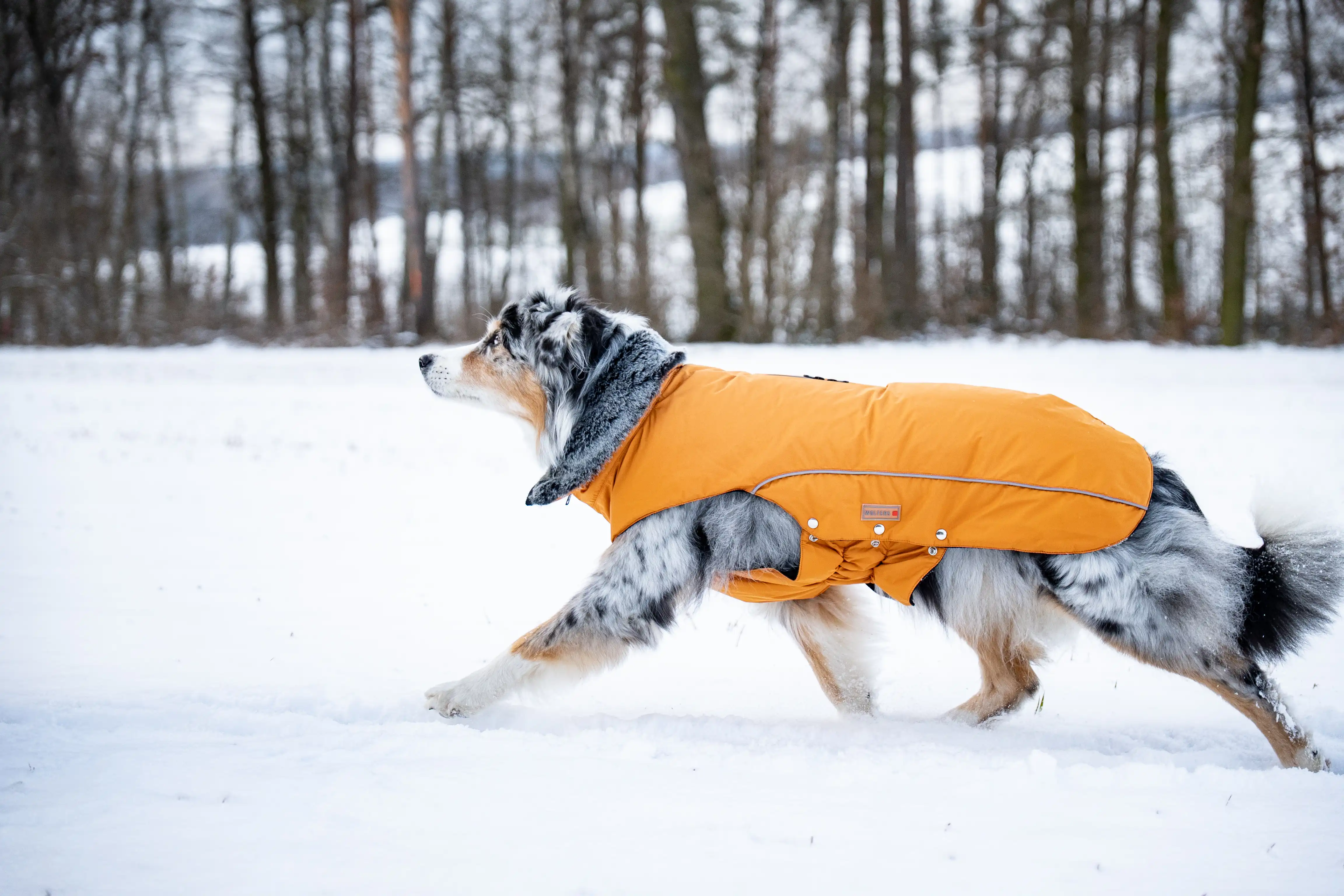 Amundsen & Dry Glove 2-Part Set